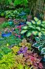 USA, Washington State, Sammamish. Garden with hosta and impatiens in late spring time bloom Art Print